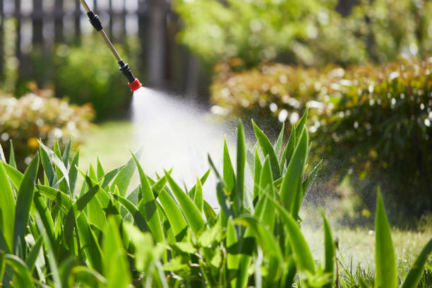 Tamper-Resistant Bait Stations for Rodents in Kings Point