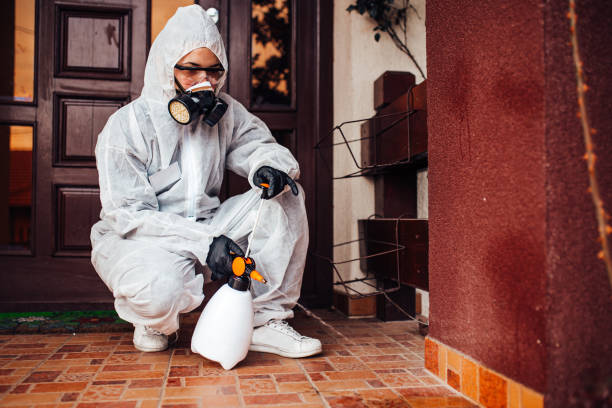 Attic and Crawl Space Rodent Treatment in Kings Point